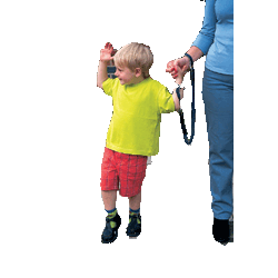 Clippasafe Wrist Link